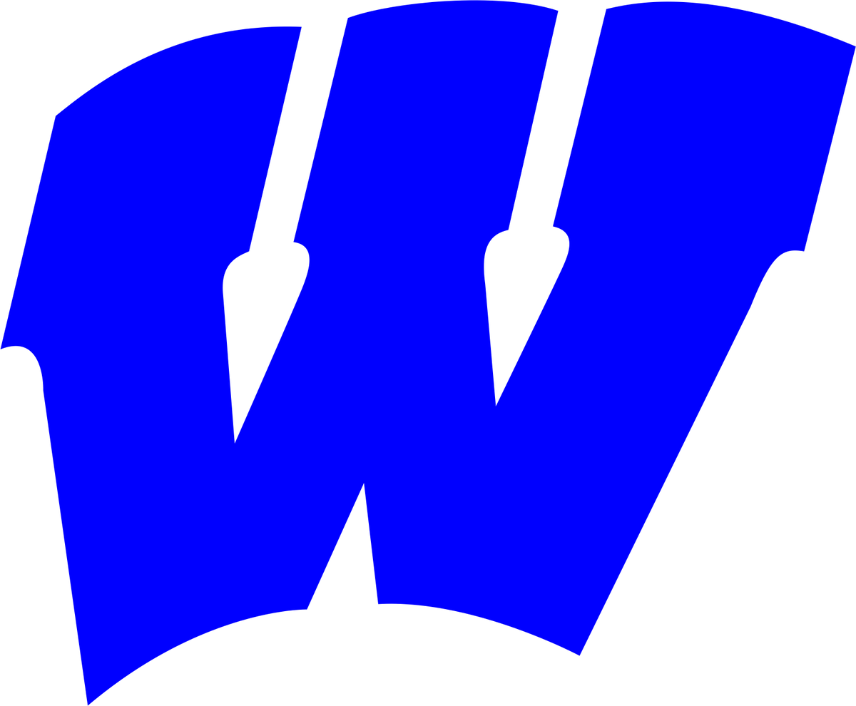 Wynford W Black Hat (Royal Blue logo) – Hessler's Screen