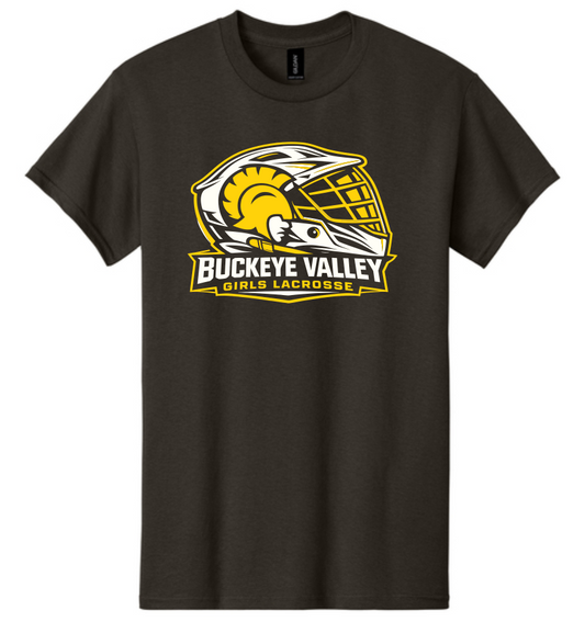 Buckeye Valley Girls Lacrosse