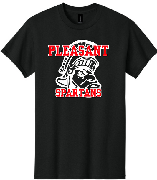 Pleasant PL0013