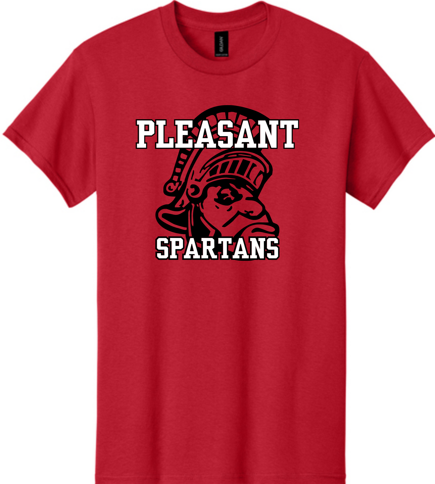 Pleasant PL0013