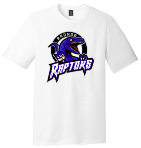 Raptors Baseball Tri-Blend (soft T)